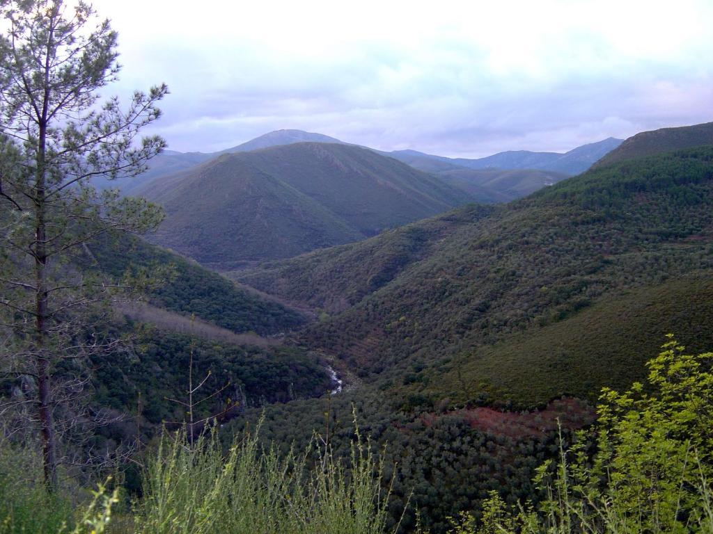 Alojamientos La Herrera San Esteban de la Sierra Стая снимка